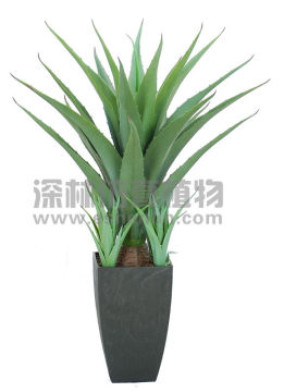 High imitation artificial Mini agave americana