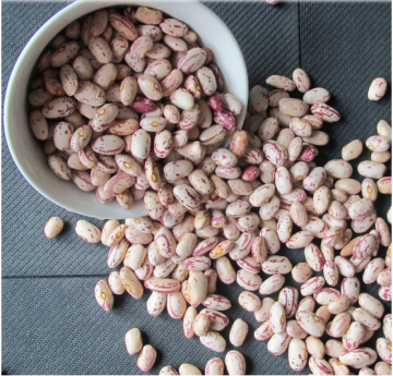 long shape light speckled kidney beans