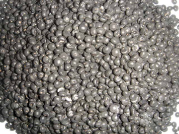 Asparagus Seed Germination/Planting Asparagus Plants Seeds/Purple Asparagus Crowns Seeds