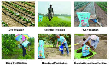 Cocoly granular water-soluble fertilizer for all crops