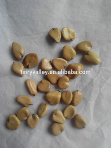 New Product Kadsura Coccinea Seeds Hei Lao Hu Seeds For Growing