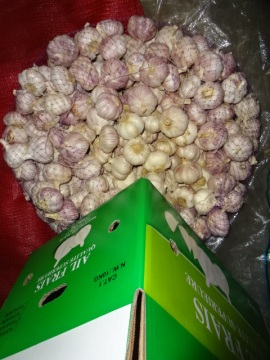Size 5.0cm Normal White Garlic