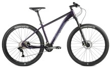 Hill Jump Design for Foxter FT-Evans 27.5 Bike