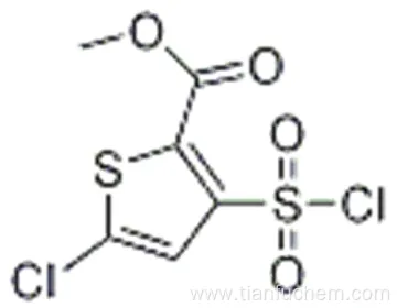 Methyl 5-Chloro-3-Chlorosulfonyl-Thiophene-2-Carboxylate CAS 126910-68-7
