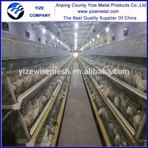 Battery chicken egg layer cage/galvanized chicken wire animal cage