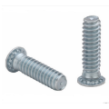 FHS Standard Screwening Riveting Stainless Extrusion Screw