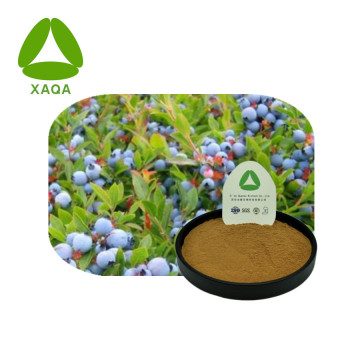 Wild Organic Blueberry Fruit Extract Powder Anti-cancer