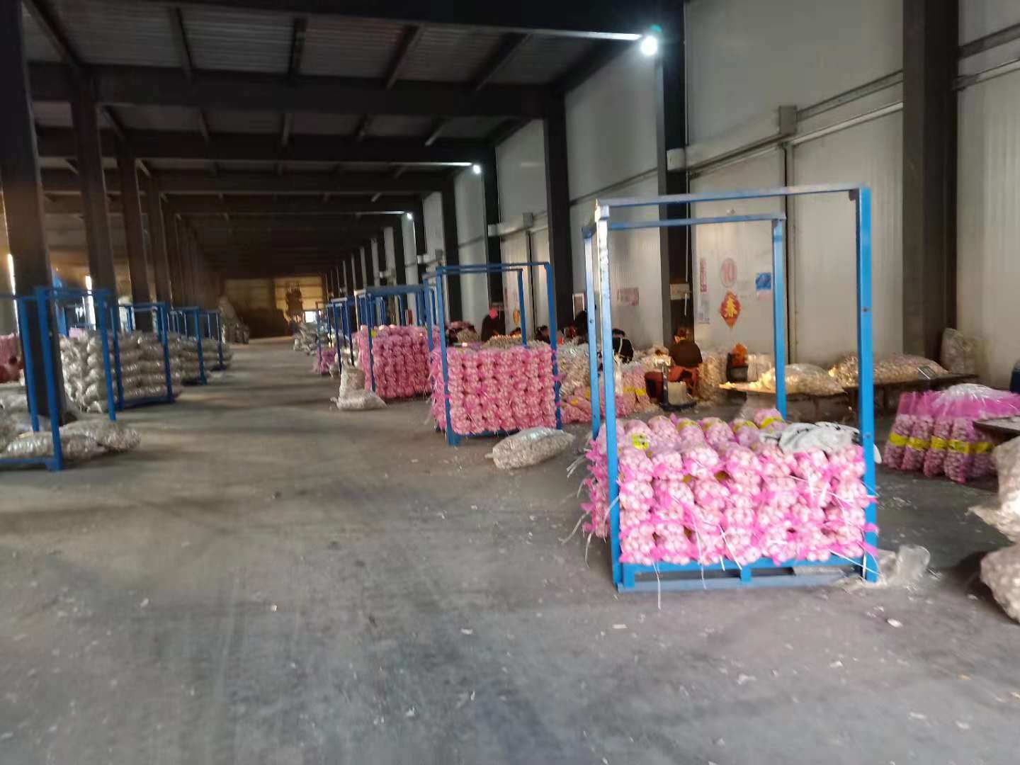 China pure white garlic factory sale, new crop fresh garlic export 2021