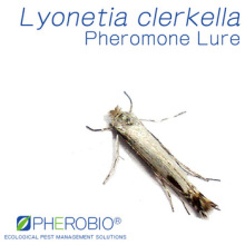 Pheromone Lure for Lyonetia clerkella (Apple Leaf Miner), Pheromone Attractant & Pheromone Trap for Lyonetia clerkella