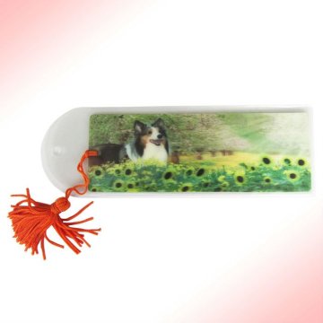 Lenticular 3d bookmark