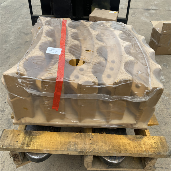 Segement 6y2354 Segement 6y2354