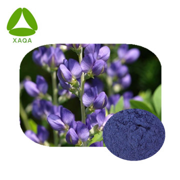 Indigo Naturalis Extract Powder Natural pigment