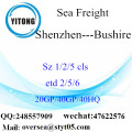 Transporte de carga del mar del puerto de Shenzhen a Bushire