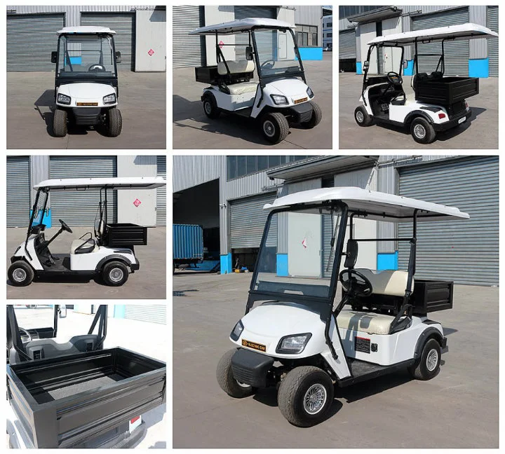 Zhongyi 2 Seats Cargo Electric Golf Cart for Resort