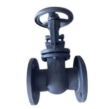 Russia standard cast iron gate valve