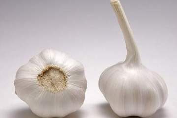 Crop Fresh White Garlic