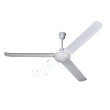 Factory Ceiling Fan Vitenam Wall Mounted Fan