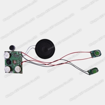 Sound Module for Greeting Card Voice Recordable Module