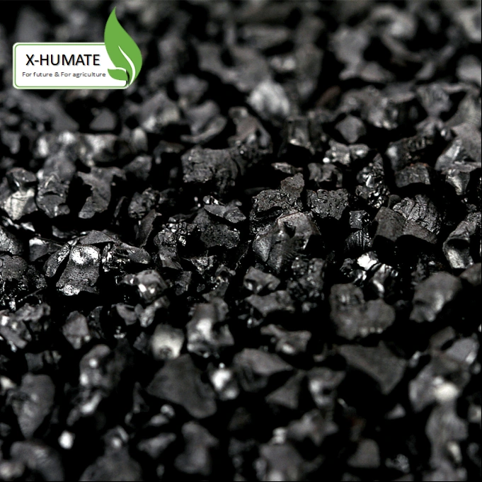 X-Humate Humic Manufacturer Potassium Humate Flakes