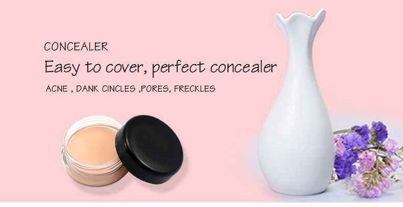 Make Your Own Brand Natural 15 Colors Concealer Cream High-quality Cruetly Free Natural Waterproof Concealer Cream