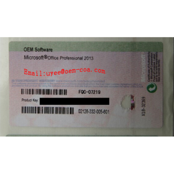 Office 2013 Professional FPP 1 User License Key Sticker