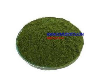 Horseradish Tree Leaf Powder Suppliers India