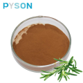 Rosemary extract (Rosemarinic Acid 15% HPLC)