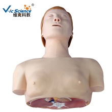 Half Body Basic CPR Training Model