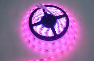 led strip 5050 rgbw build in IC programmed lighting