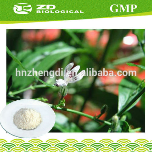 98% Andrographolide Common Andrographis Herb Extract/Andrographis