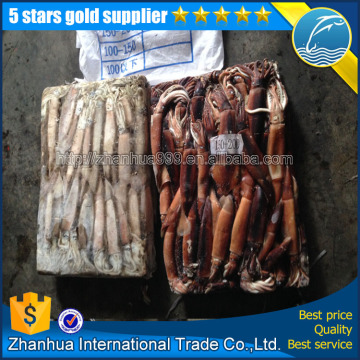 fujian zhanhua international trade co., ltd. Frozen Giant tentacles Frozen Argentine Squid