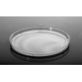 Petrischaaltjes van 150 mm steriel