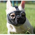 Short Snout Dog Muzzle