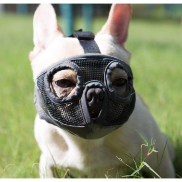 Short Snout Dog Muzzle