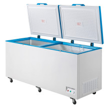 Double open door freezer