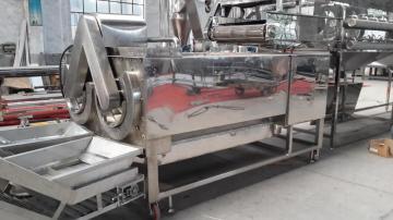 Roll washing machine for ginger