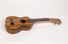 21 inches quality Hawaii ukulele acacia logs of wood xt-500 gitar kecil havai kitarasI