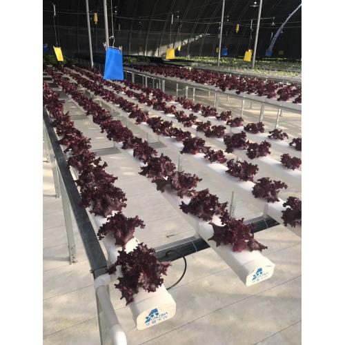 Skyplant Hollow Nft Hydroponics Pipe For Vegetables