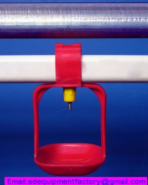 SD automatic poultry drinker system