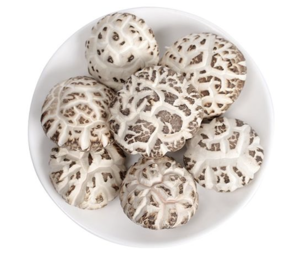 Edible Mushroom511 Png