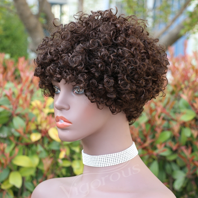 Vigorous Top Quality Brown Afro Kinky Curly Wigs for Black Women Short Side Part Human Hair Wholesale Price