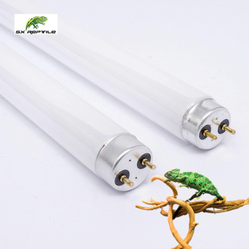 Wholesale Reptile UVB Lights & Fixtures
