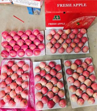 2020 good-quality apple