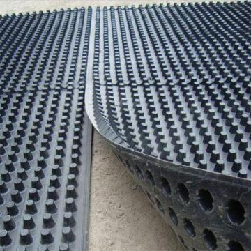 Cavity Sheet Waterproof Membrane Drainage Board/Cell