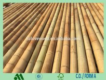 quality moso bamboo, construction grade moso bamboo, bamboo pole, bamboo canes
