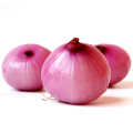 Chinese 2020 new crop red onions