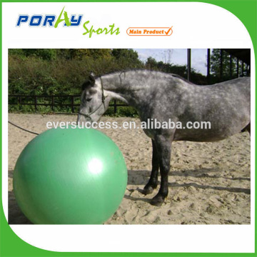 horse sports ball