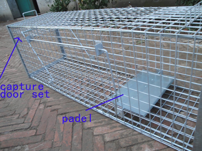 Liebang Humane Hunting Live Animal Cage Traps For Large Pest Animals Animal Control Fox Wildboar Cage Trap