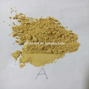 Top quality pure ginger extract powder