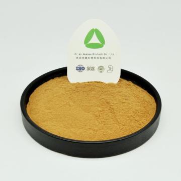 Natürlicher Flavonoid-Sanddorn Isorhamnetin 25% Pulver